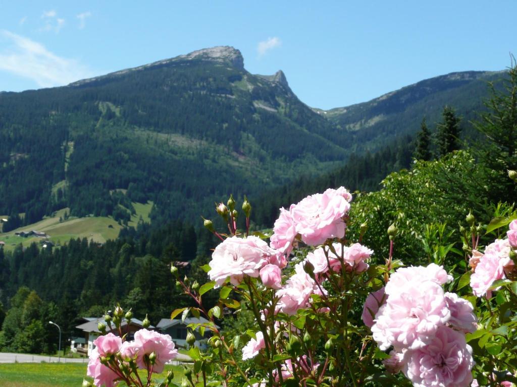 Gaestehaus Schuler รีซแลร์น ภายนอก รูปภาพ